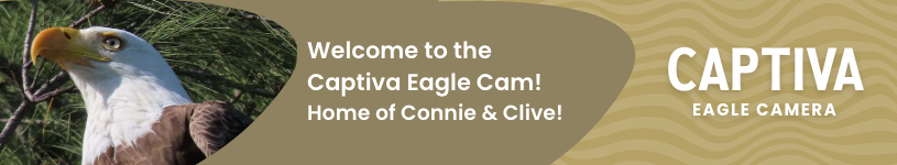 Captiva Eagle Cam
